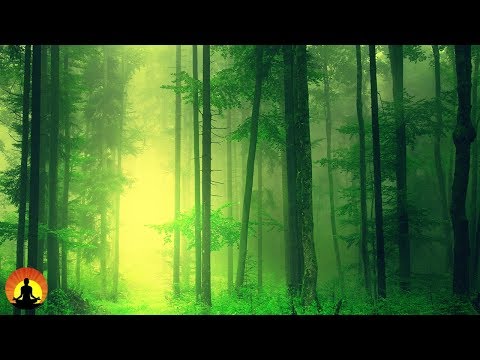 Healing Meditation Music, Relaxing Music, Calming Music, Stress Relief Music, Peaceful Music, ✿3277C