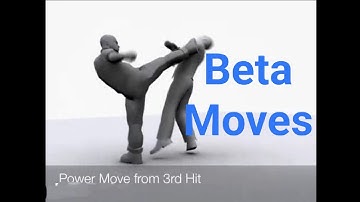 Bully Beta Fighting Styles