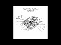 Floating points  elaenia