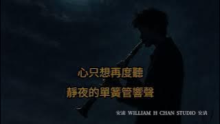 靜夜的單簧管 王菲 Karaoke