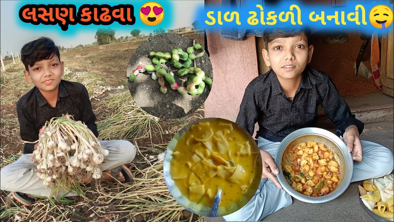 આજ વાડીયે લસણ કાઢવા જાવું પડ્યું 😨// રજામાં ડાળ ઢોકળી બનાવી🤤 // #kishankbvlogs