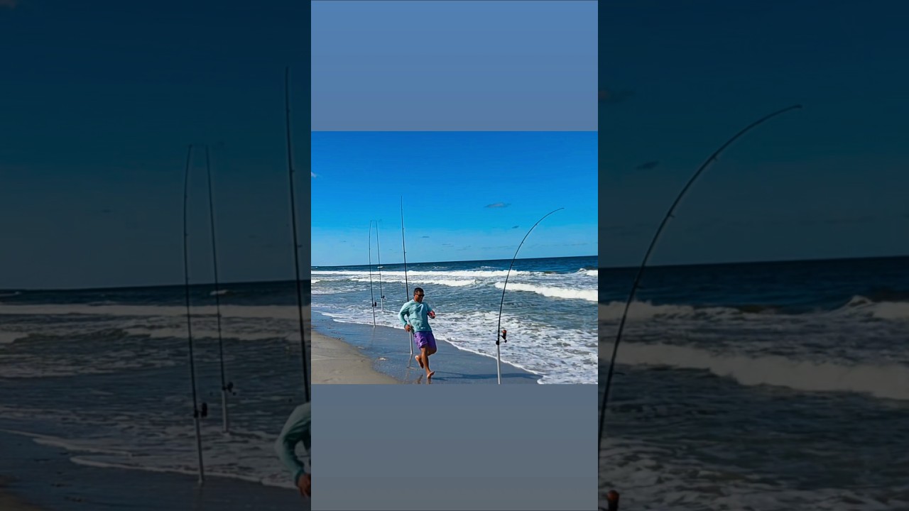 Where is the gopro when you need it??? 