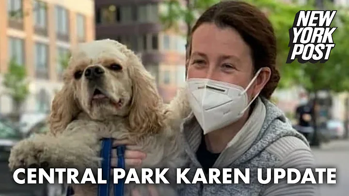 Charges against Central Park Karen Amy Cooper dism...