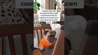 Anyone else? #shorts #scam #shopping #relatable #screenshot #dog #funny