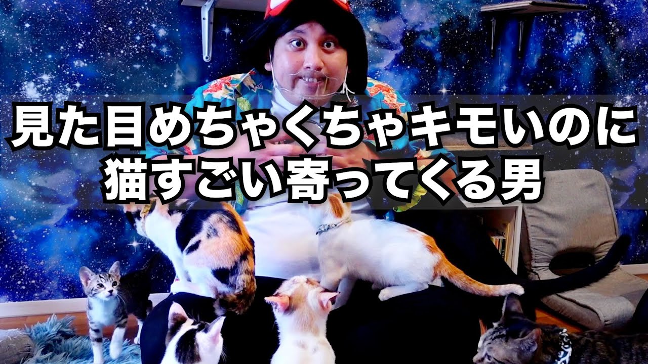 コント 見た目めちゃくちゃキモいのに猫すごい寄ってくる男 Youtube
