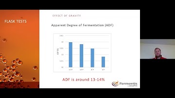 WBC - Introducing SafBrew™ LA-01 – maltose negative yeast for low and non-alcoholic beers