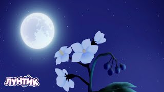 Лунтик | Голубая Луна 🌙🌙🌙 Сборник мультиков для детей