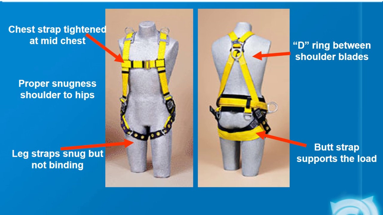 Would You Wear A Harness?