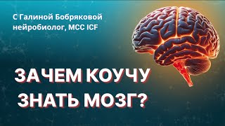 видео: Как работает мозг клиента во время сессии — и почему без этого коуч теряет глубину, деньги и доверие картинка: Как работает мозг клиента во время сессии — и почему без этого коуч теряет глубину, деньги и доверие