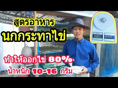 สูตรอาหารนกกระทาไข่(ทำให้ออกไข่80%) : SMILE FARM