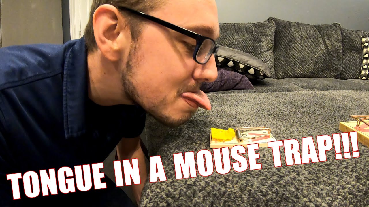 How Painful Are Mouse Traps SUB SPECIAL YouTube