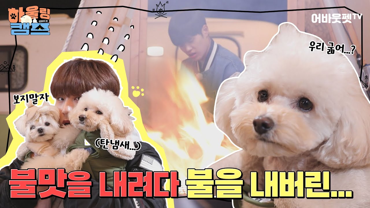 [Sub] EP.4 이러다~ 다~~ 타버려~~~🌋 대휘X우진X쪼꼬미 캠핑⛺ 잘 끝낼 수 있을까..?ㅣAB6IX 하울링캠프ㅣ매주 금요일 pm18