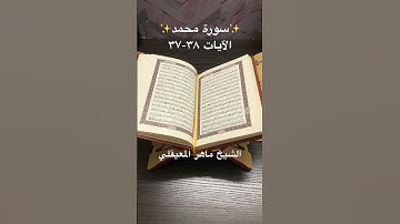 سورة محمد✨Surah Muhammad✨القرآن الكريم
