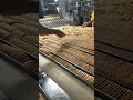 Biscuit Company Working
