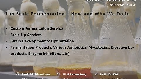 Lab Scale Fermentation – How and Why We Do It - BOC Sciences