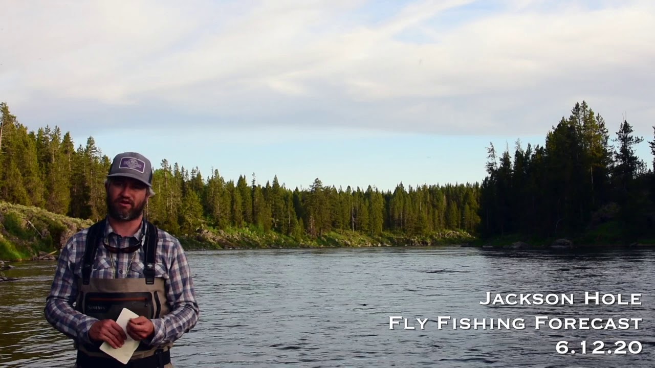 Jackson Hole Fly Fishing Forecast 6.12.20 YouTube