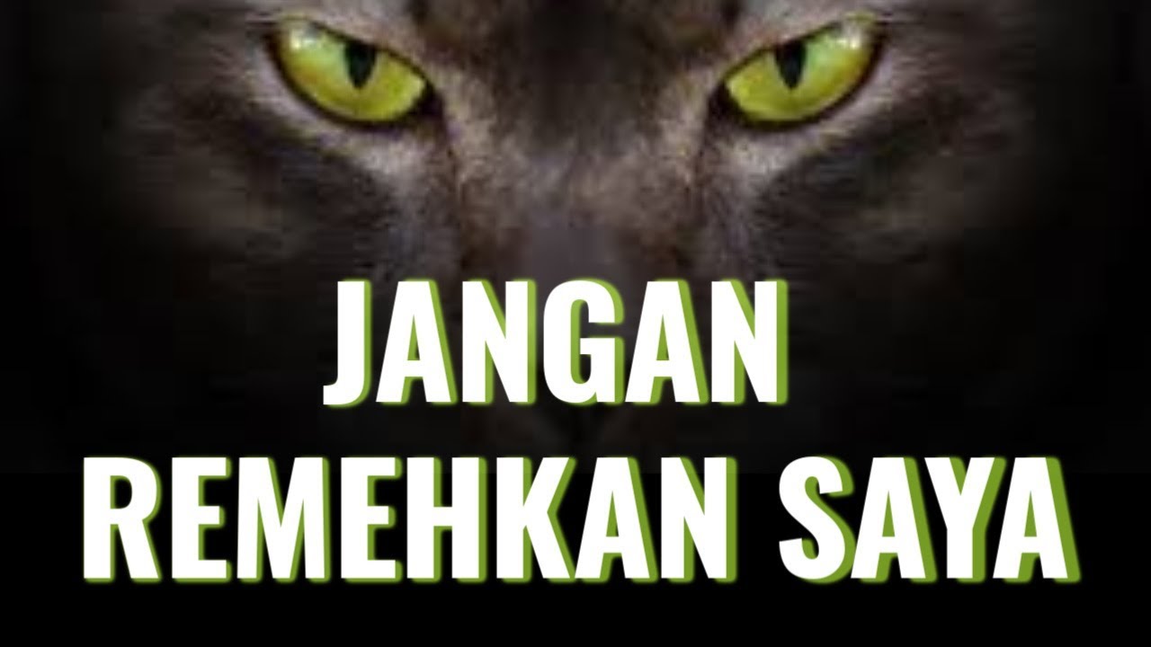 Jangan Remehkan Saya !! || Video Motivasi