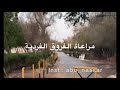 مراعاة الفروق الفردية 