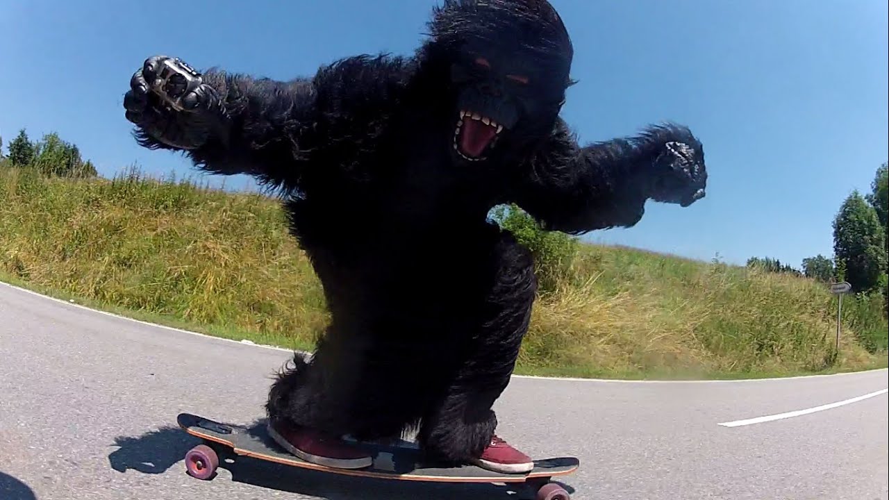 Longboard Zenting / Tittling - Comeback Part - 2015