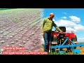 Traditional agriculture. #planting #agriculture #furrow  #soil