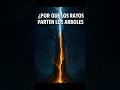 🌩️🔥 ¿Qué pasa dentro de un árbol cuando lo golpea un rayo?