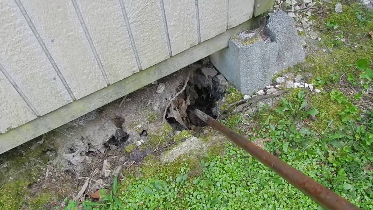 How To Fill In A Sinkhole