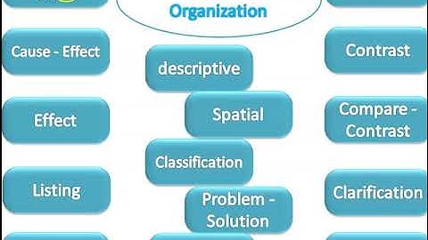 patterns of organization