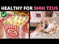 10 human foods that are actually good for shih tzus