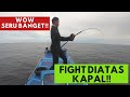 Lawan amber jack sampai diatas kapal  jigging di laut  dmf mancing indonesia