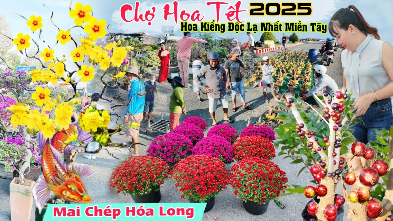 Chợ hoa tết 2025 nhiều hoa kiểng độc lạ nhất miền tây đổ bộ Cao Lãnh Đồng Tháp