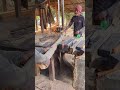 Tree cutting by skilled hands