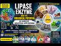 LIPASE ENZYME AND ITS BIOLOGICAL POTENTIAL IN VARIOUS INDUSTRIAL APPLICATIONS