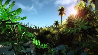 Hot jungle day - the relaxing sound of the jungle