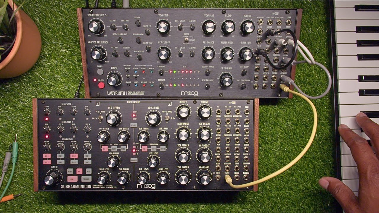uh Moog Labyrinth x Subharmonicon - YouTube