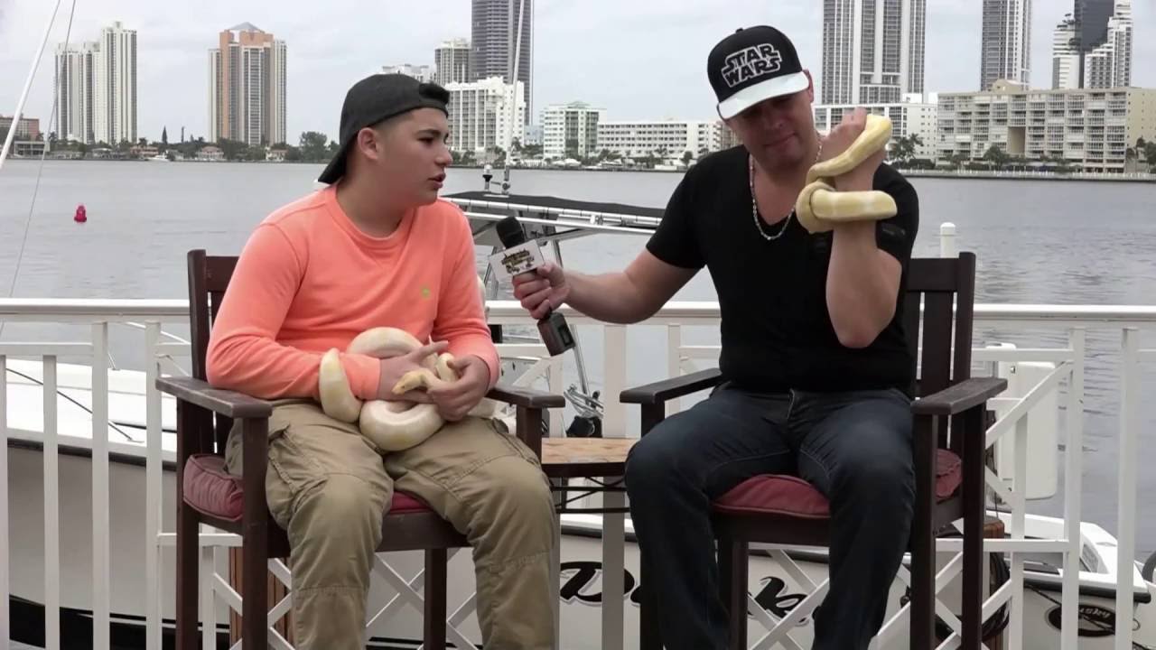 videos for cats SOMOS TALENTO LATINO con La obra teatral Sala Marco Caridad - Jivan Haddad