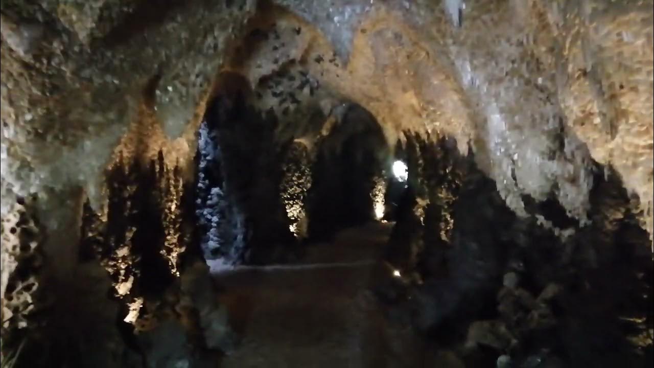 Painshill Park 2023 Piancnoc Peirc YouTube
