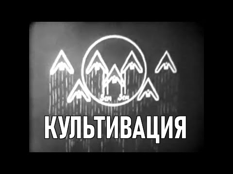 Культивация