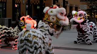 UC Irvine CKI Dance for a Chance 2016