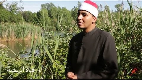 الشيخ عبد الرؤوف خليفة : آيات من سورة النازعات