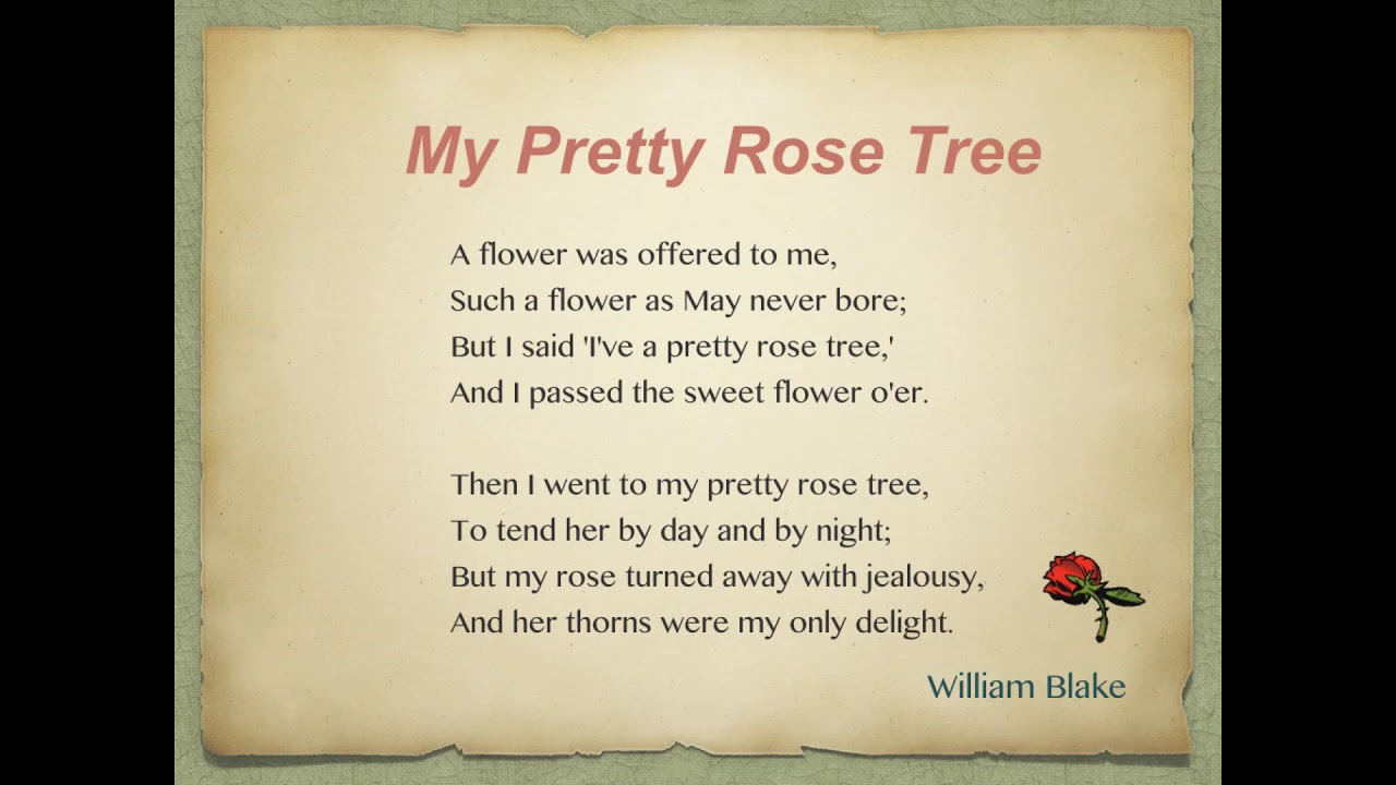 My Pretty Rose Tree YouTube