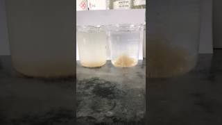 Chitosan Coagulation Demo Video by Allen Park (WMA)
