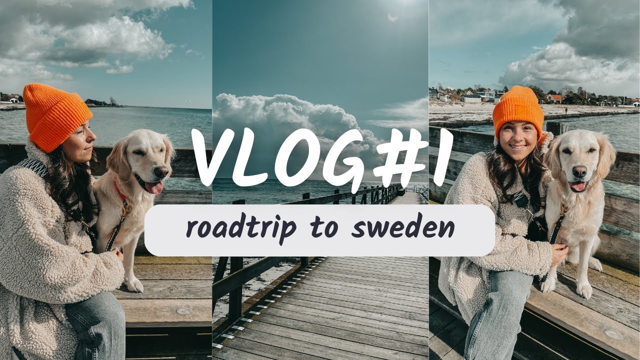 Roadtrip nach Schweden #1 - Fähre mit Hund, unterwegs in Malmö und eine Disskussion  im Auto