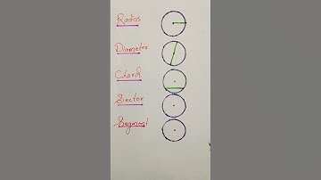circle|radius|diameter|chord|sector|segment #short #circle #diameter #math #viral #foryoupage