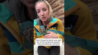 Don’t forget 💁🏼‍♀️🩵 #parrot #birds #macaw #baby