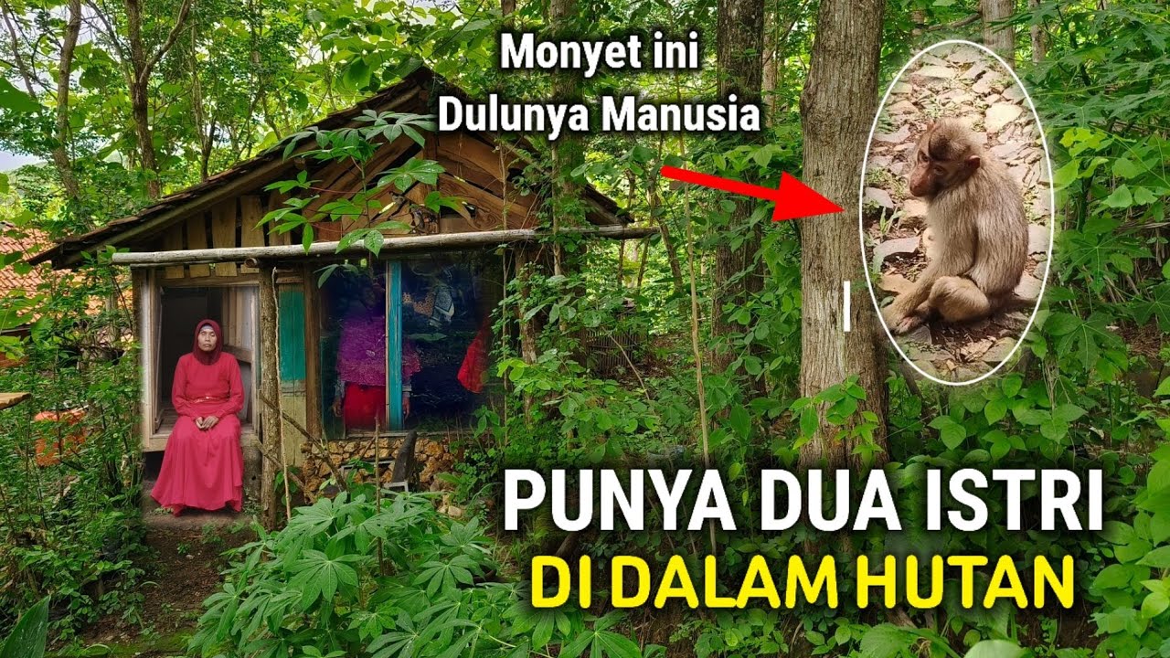 RUMAH POCONG SUMEDANG