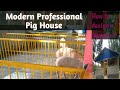A modern professional pig house