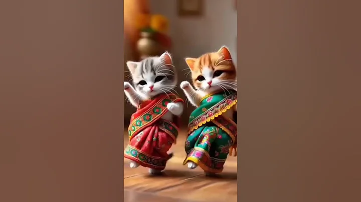 Video 9671251: cats catlover kitten cute, cats kitten funny catlover, kitten dance catlover