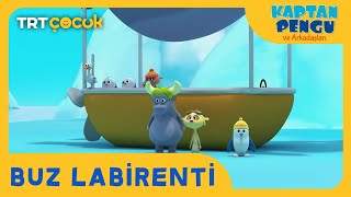 KAPTAN PENGU VE ARKADAŞLARI | BUZ LABİRENTİ