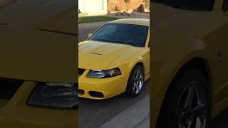 Whipple Terminator Cobra