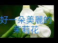 Taiwan Folk Song Medley Beautiful Jasmine Flower Feng Yang Flower Drum 5 String Acoustic Violin Taiwan Folk Song Medley Beautiful Jasmine Flower Feng Yang Flower Drum 5 String Acoustic Violin